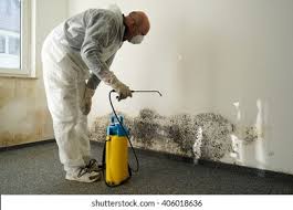 Best Commercial Mold Inspection  in Marbury, AL